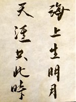 /album/%e7%b6%b2%e8%b7%af%e7%9b%b8%e7%b0%bf/a2014-11-23-12-52-35-jpg/